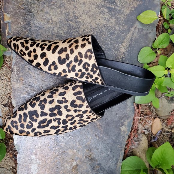 Steve Madden Varner Leopard Mule 